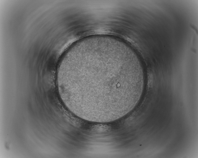 X0000103161314200809051651