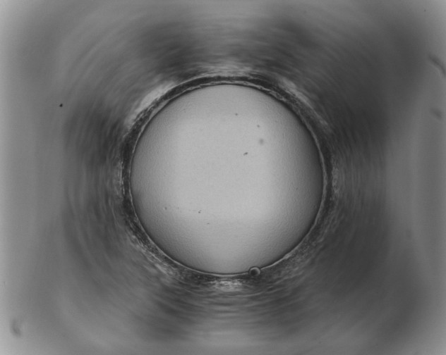 X0000103161315200809051651