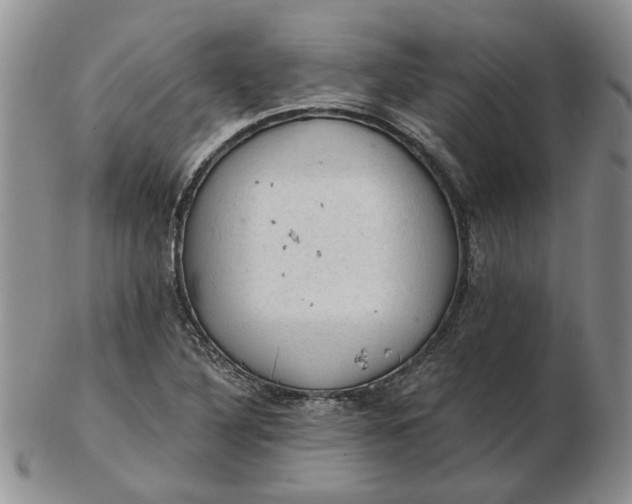 X0000103161316200809051651