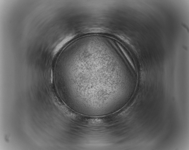 X0000103161317200809051651