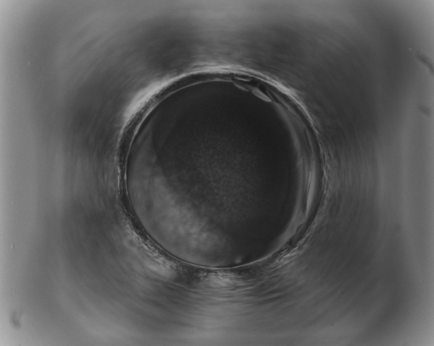 X0000103161319200809051651