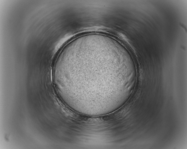 X0000103161320200809051651