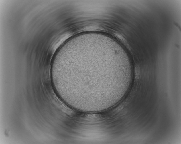 X0000103161322200809051651