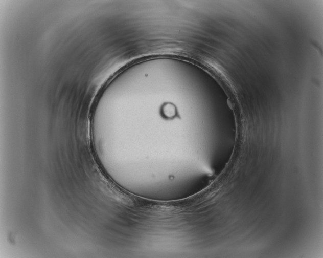 X0000103161324200809051651