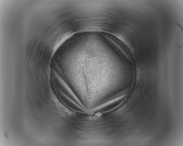 X0000103161325200809051651