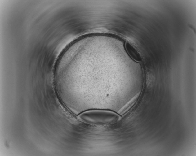 X0000103161326200809051651