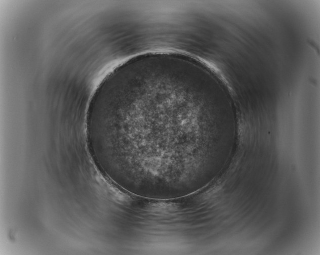 X0000103161327200809051651