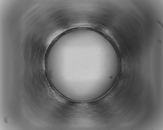 X0000103161328200809051651