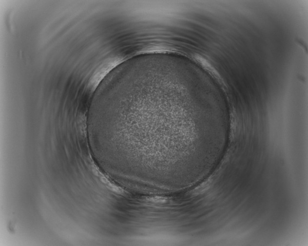 X0000103161329200809051651