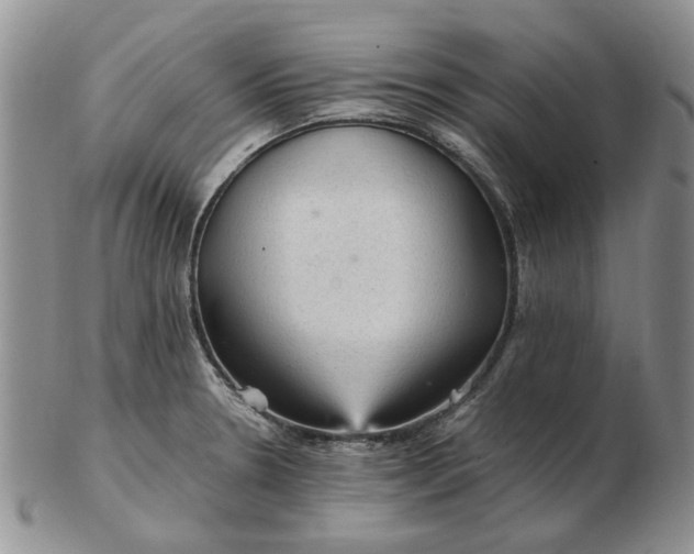 X0000103161330200809051651