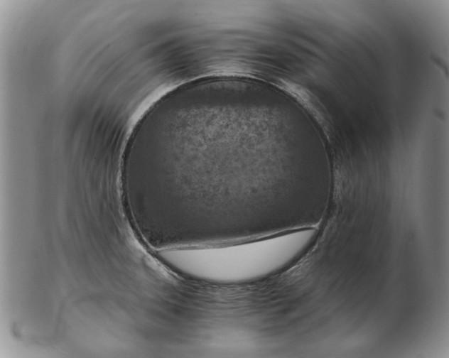 X0000103161331200809051651