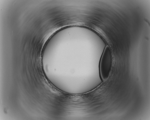 X0000103161332200809051651