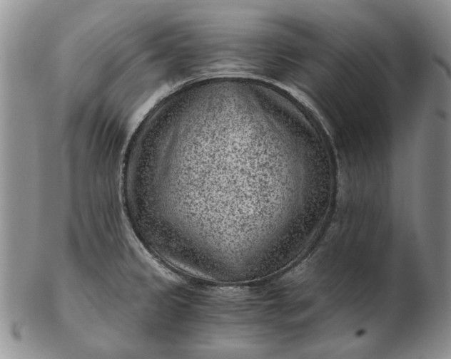 X0000103161333200809051651