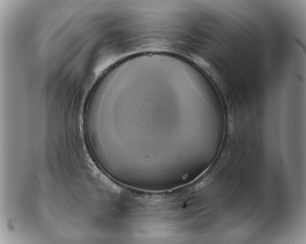 X0000103161334200809051651