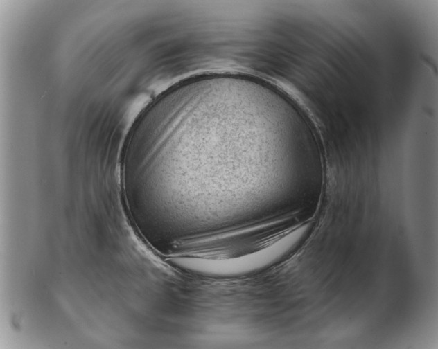 X0000103161335200809051651