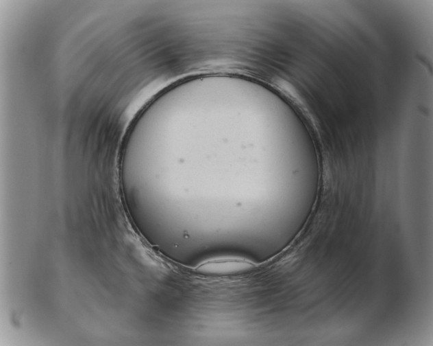 X0000103161336200809051651