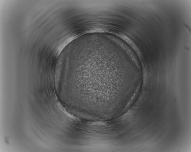 X0000103161337200809051651