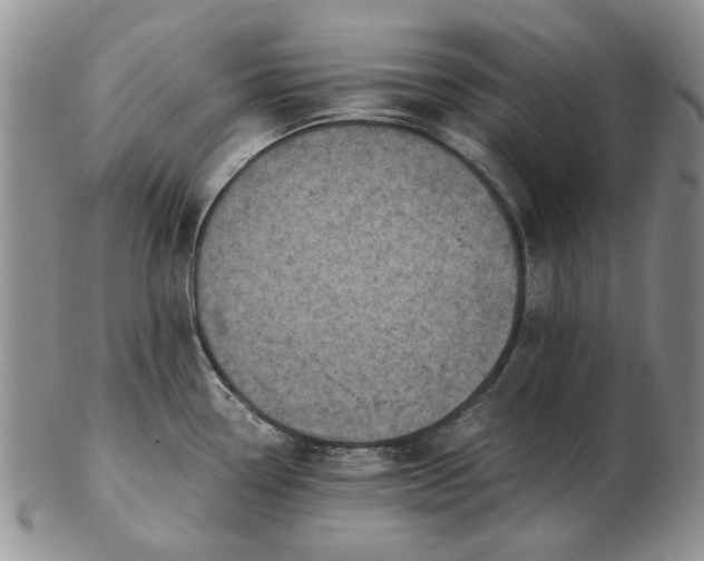 X0000103161338200809051651