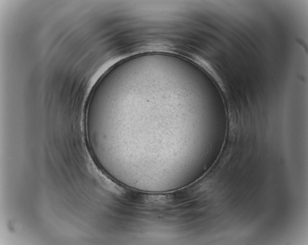 X0000103161339200809051651