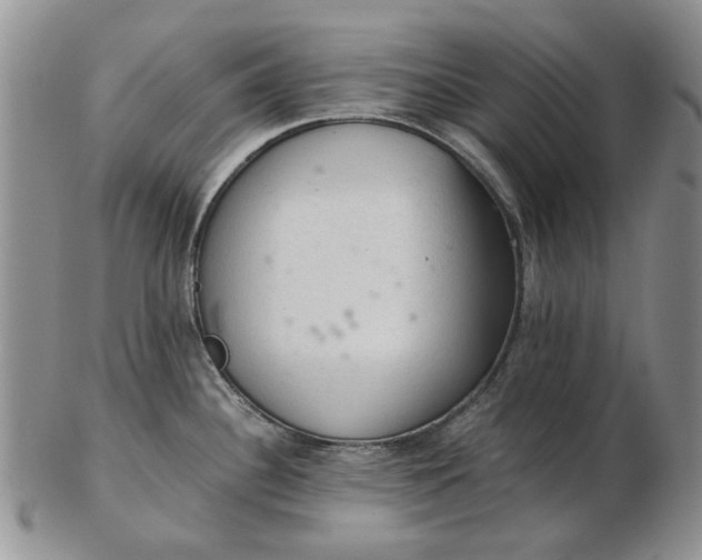 X0000103161340200809051651