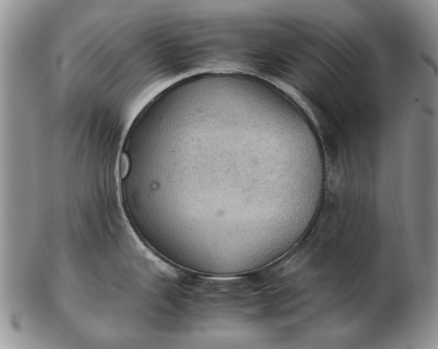 X0000103161343200809051651