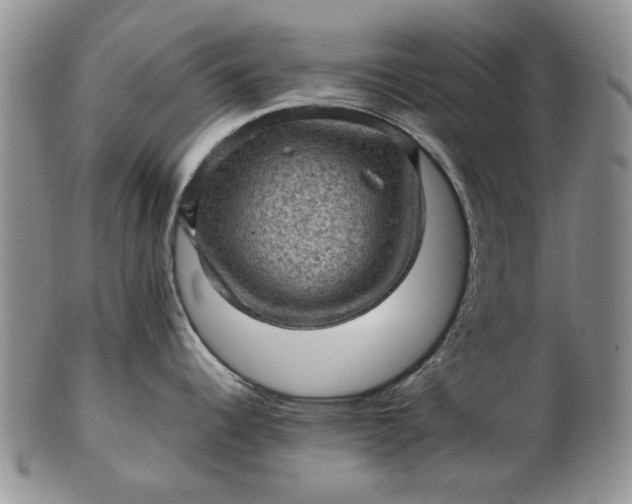 X0000103161344200809051651