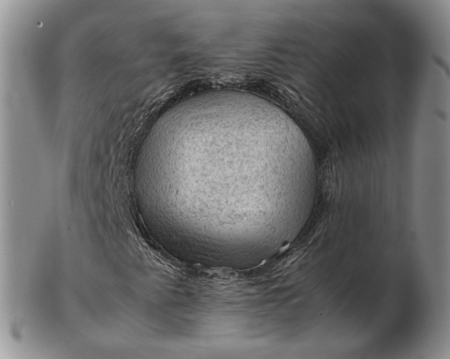 X0000103161345200809051650