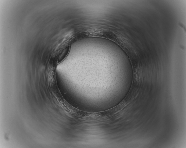 X0000103161346200809051650