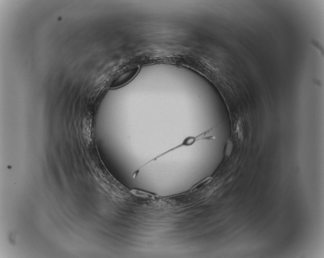 X0000103161348200809051650