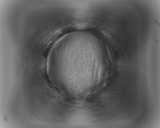 X0000103161349200809051650