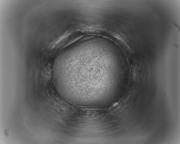 X0000103161350200809051650