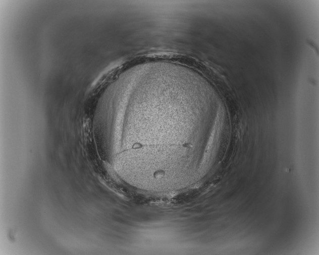 X0000103161351200809051650