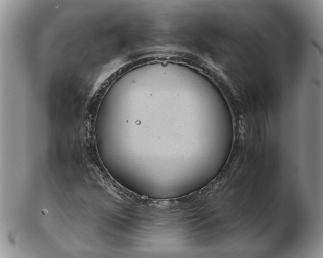 X0000103161352200809051650