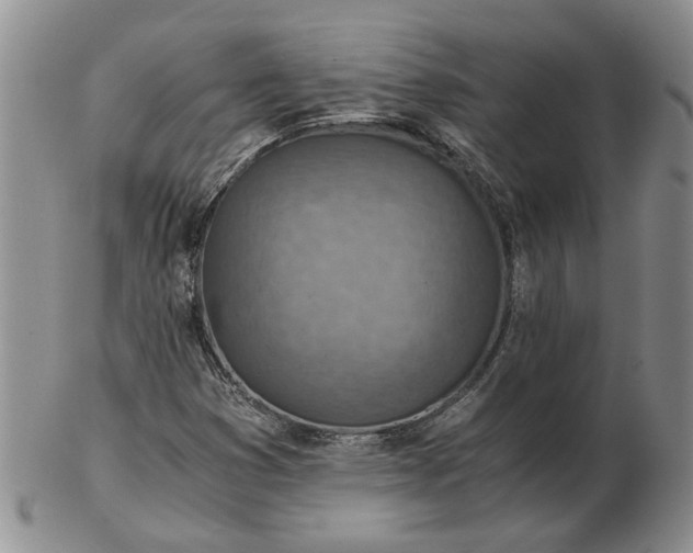 X0000103161353200809051650