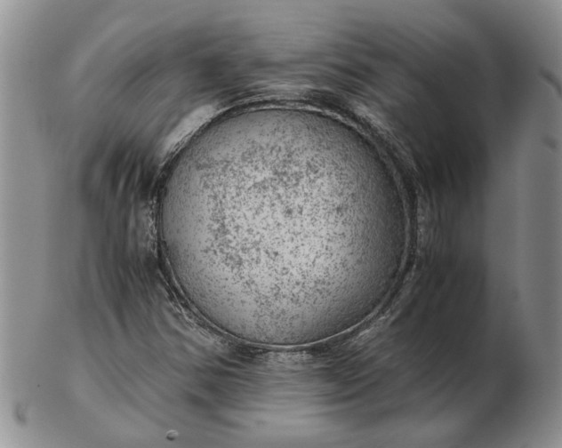 X0000103161354200809051650