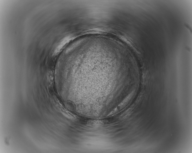 X0000103161355200809051650