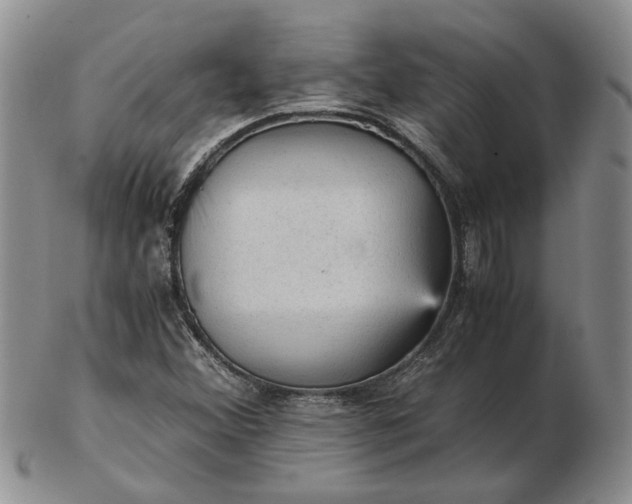 X0000103161356200809051650