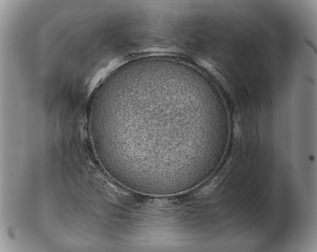 X0000103161357200809051650