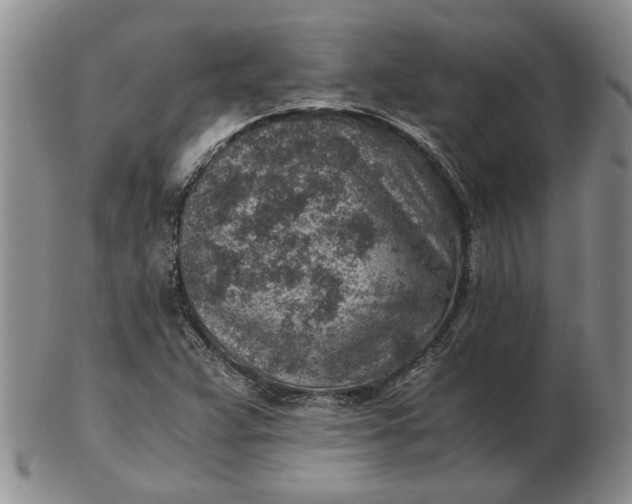 X0000103161359200809051650