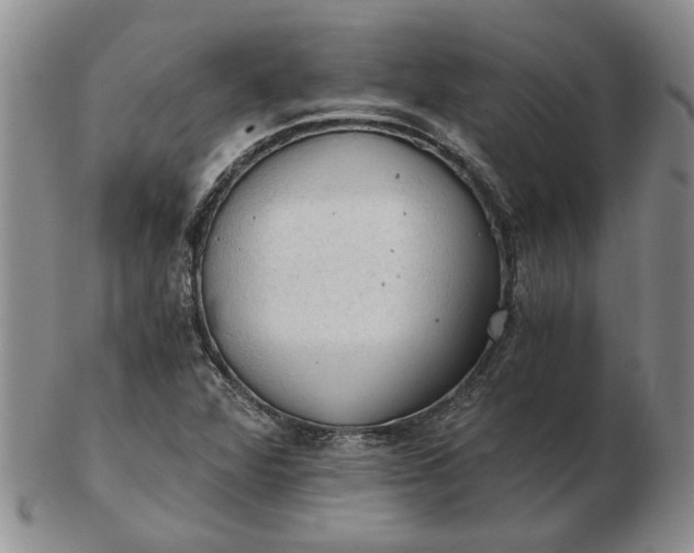 X0000103161360200809051650