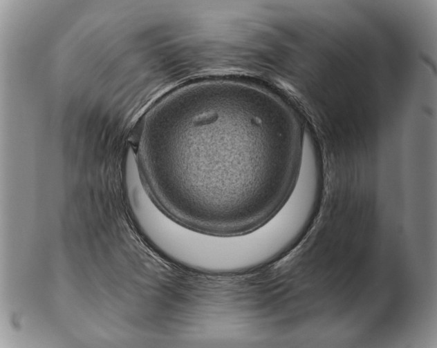 X0000103161361200809051650