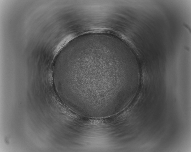 X0000103161362200809051650