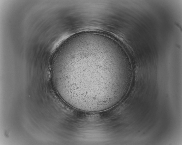 X0000103161363200809051650