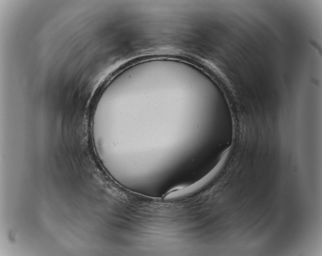 X0000103161364200809051650