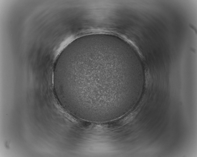 X0000103161365200809051650