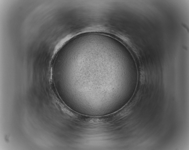 X0000103161366200809051650