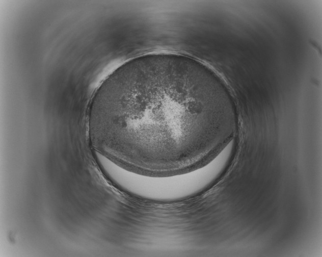 X0000103161367200809051650