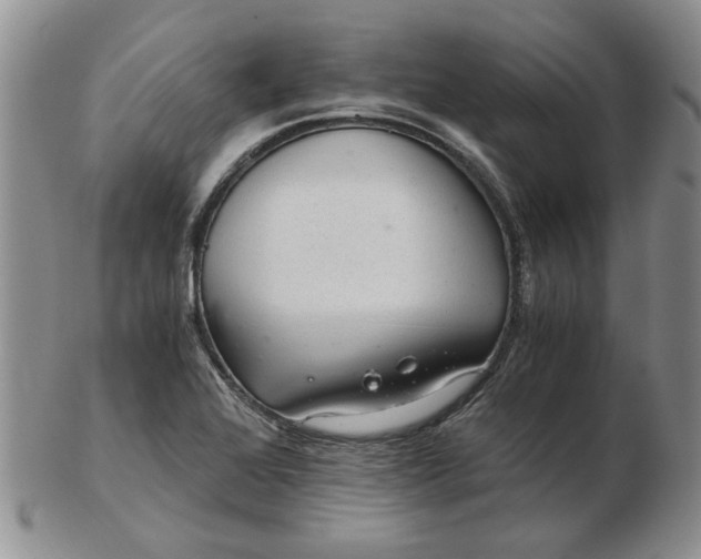 X0000103161368200809051650