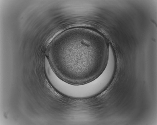 X0000103161369200809051650