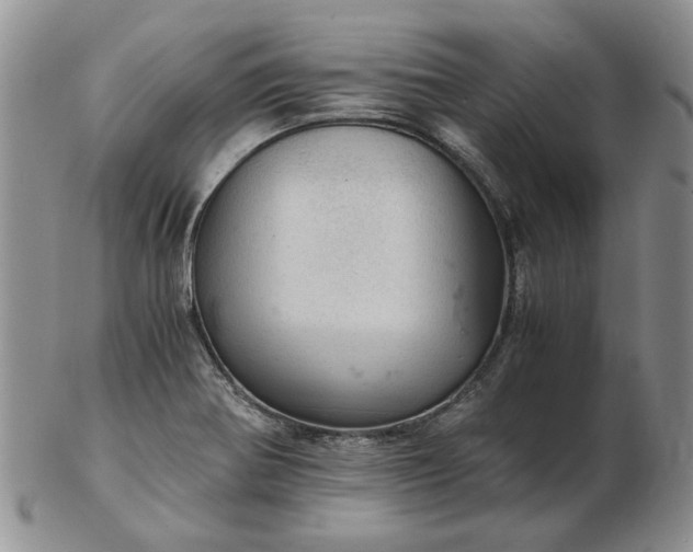 X0000103161370200809051650